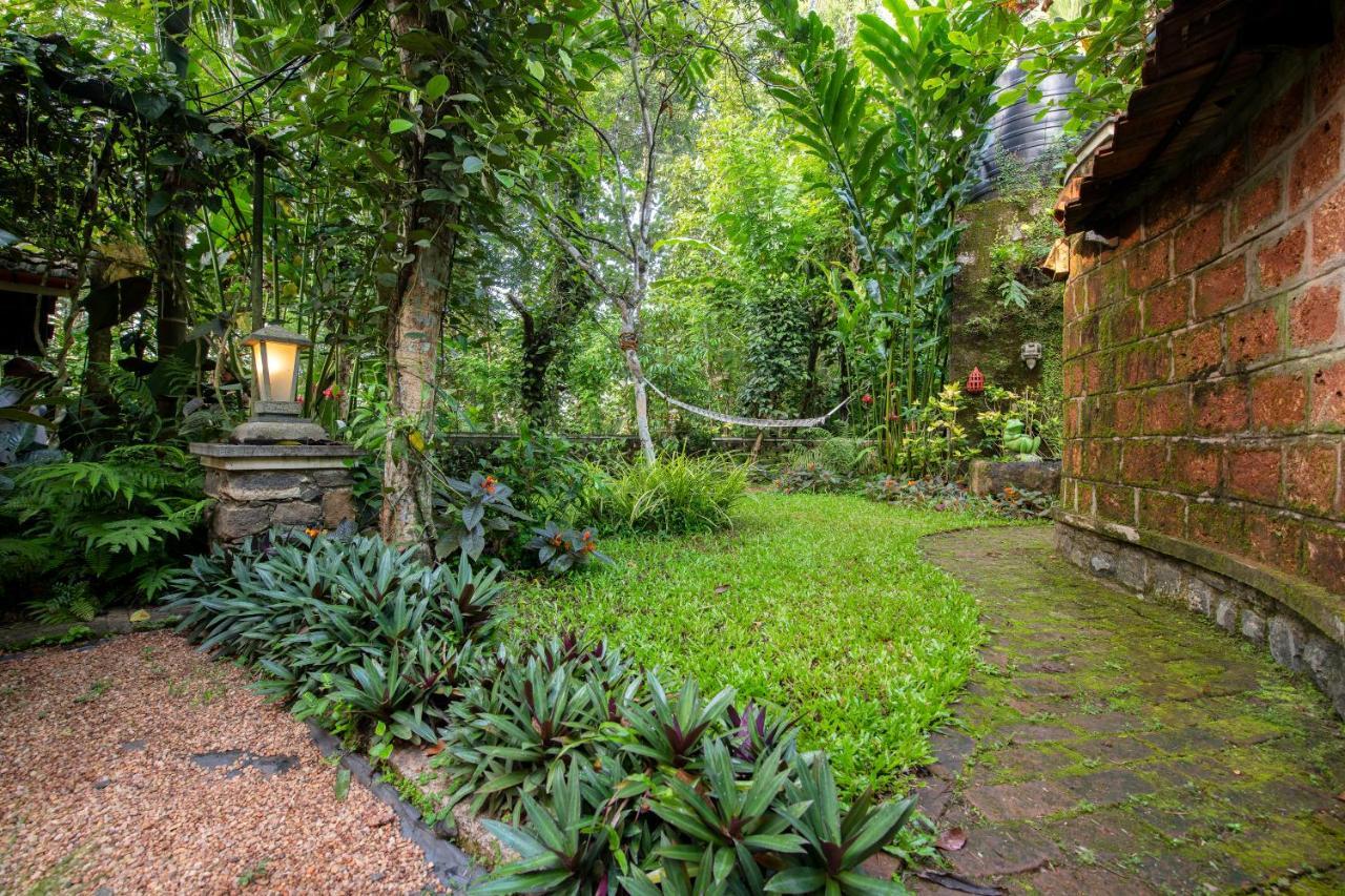 Swasthi Serviced Villa Kanjirapalli Zewnętrze zdjęcie