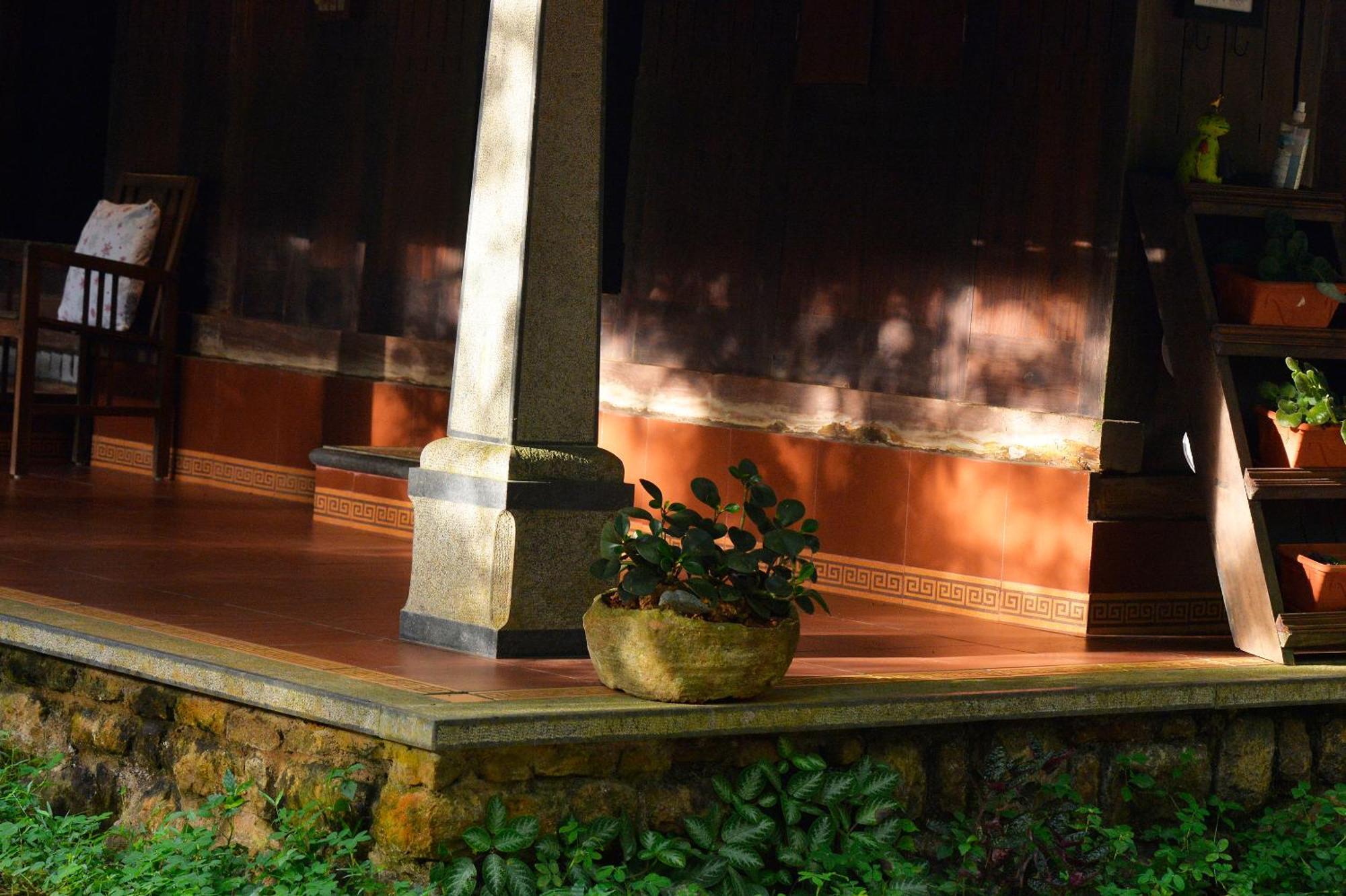 Swasthi Serviced Villa Kanjirapalli Zewnętrze zdjęcie