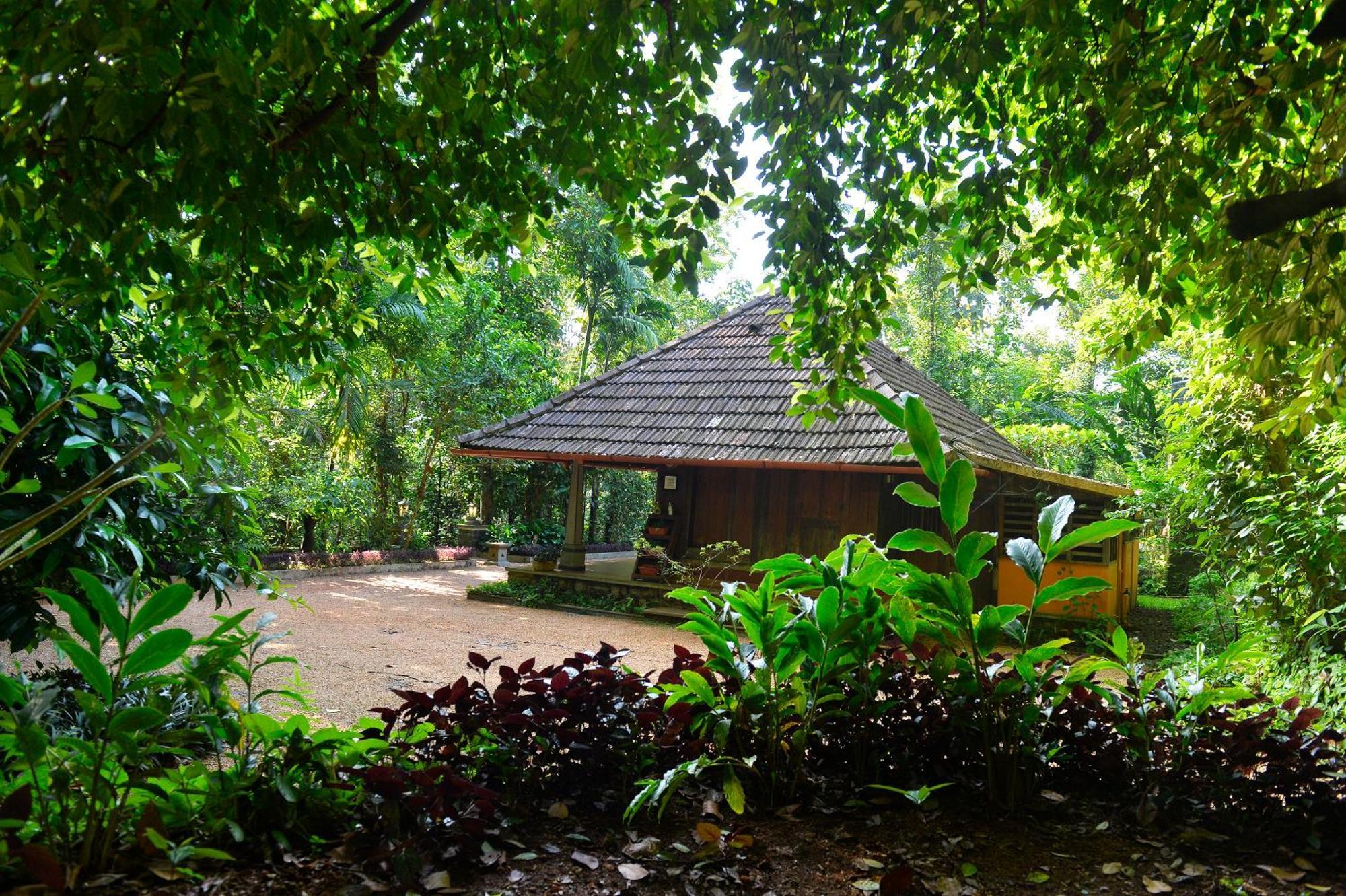 Swasthi Serviced Villa Kanjirapalli Zewnętrze zdjęcie